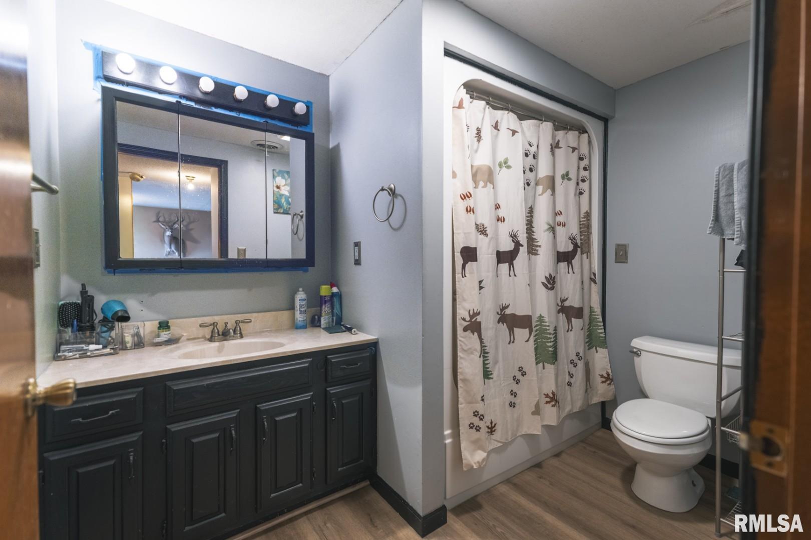 896 Northeast 1300 Street Roodhouse, IL 62082 - Photo 23 of 35