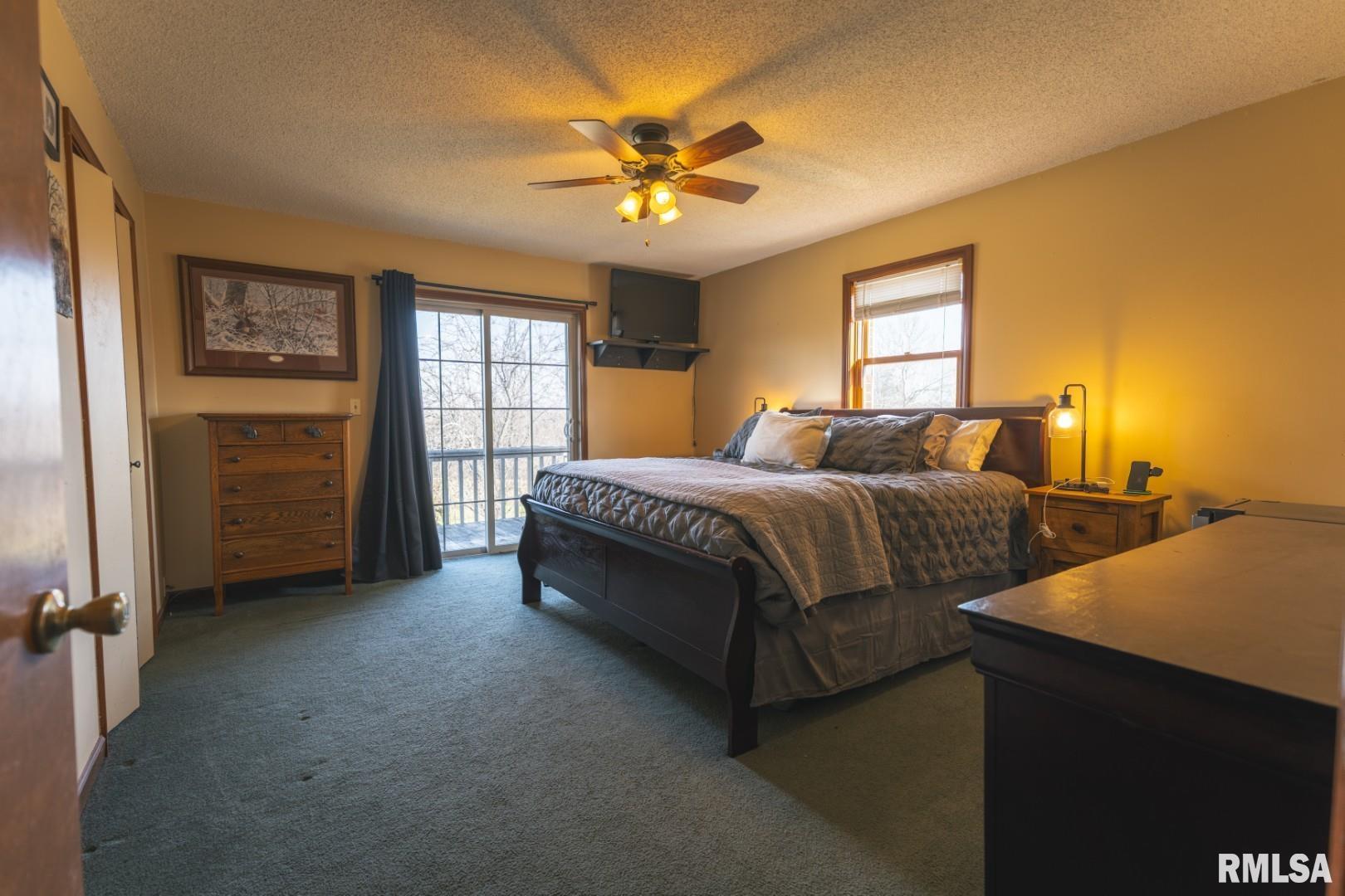 896 Northeast 1300 Street Roodhouse, IL 62082 - Photo 5 of 35
