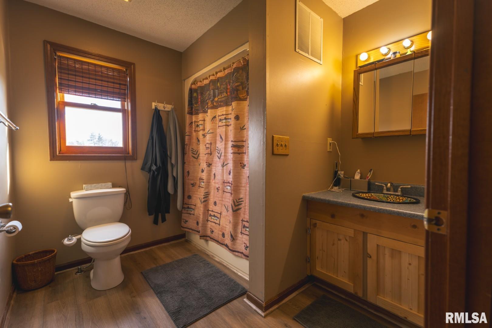 896 Northeast 1300 Street Roodhouse, IL 62082 - Photo 7 of 35
