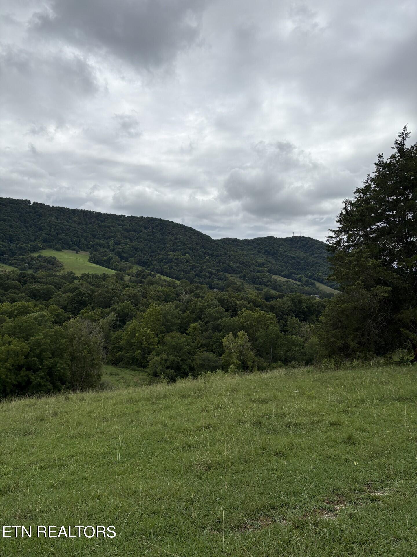 Ridge Road Tazewell, TN 37879 - Photo 8 of 16 land and view