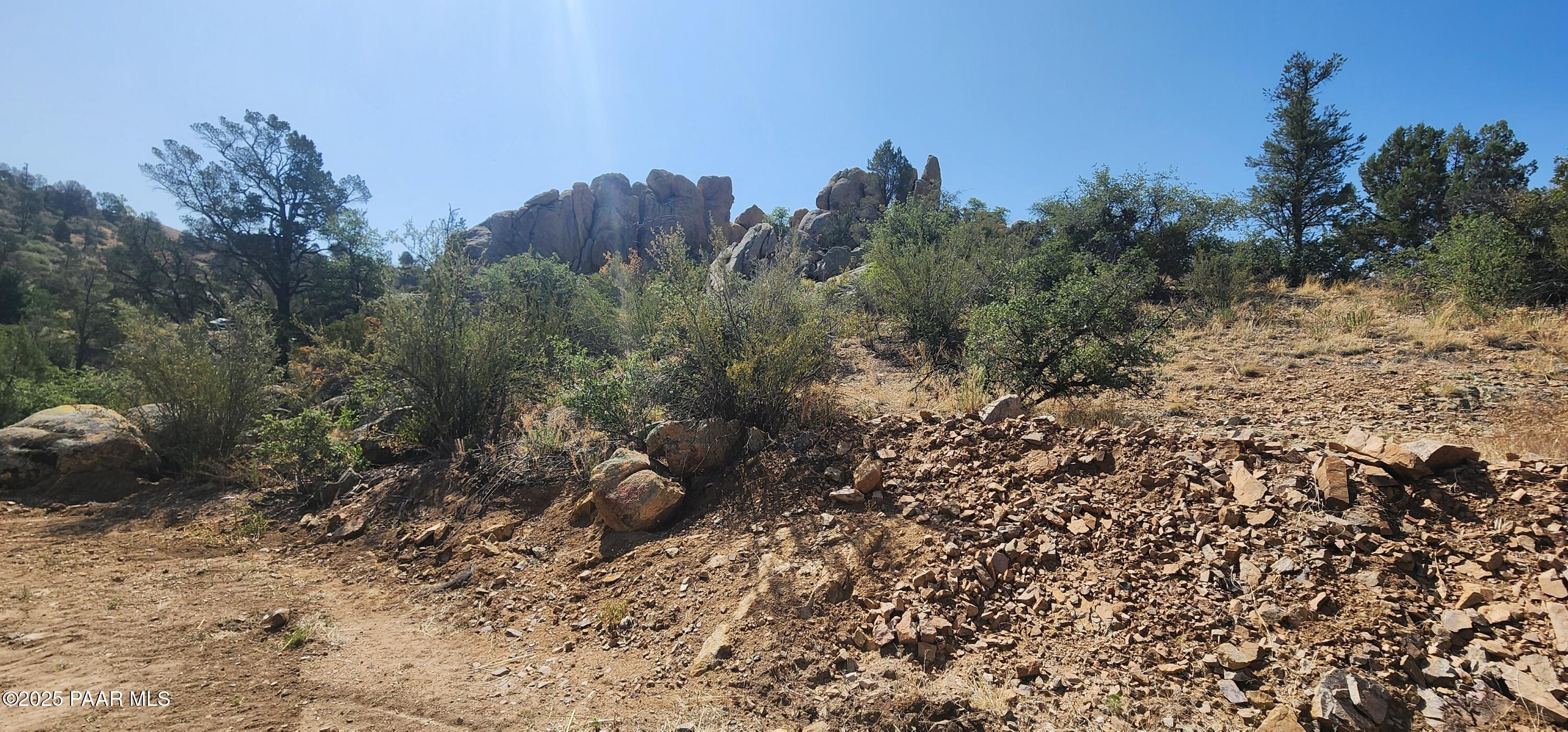 2291 Willow Creek Road Prescott, AZ 86301 - Photo 6 of 16 a view of a forest with a tree in the background