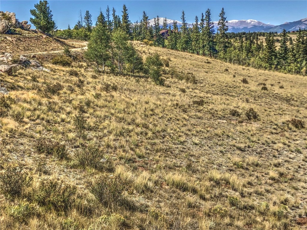 669 Travois Road Como, CO 80456 - Photo 5 of 17 a view of a city