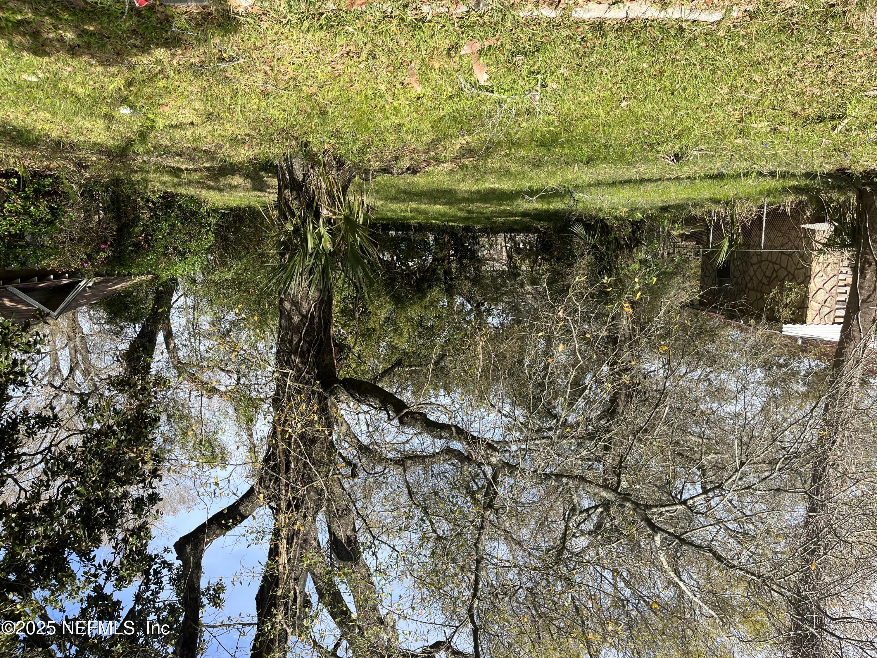 a view of a yard with a tree