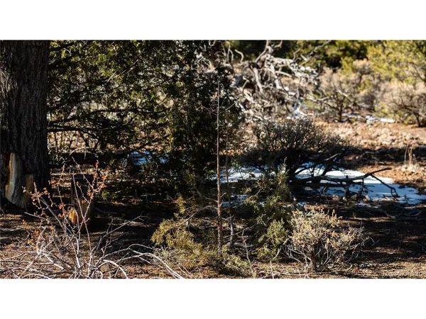 $42,500 | 90 Elk Park Road, San Luis, CO 81152