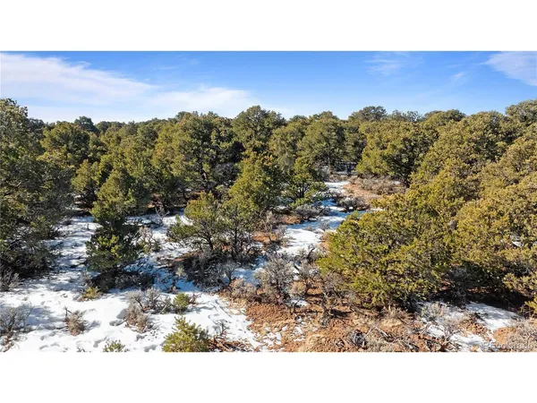 $42,500 | 90 Elk Park Road, San Luis, CO 81152