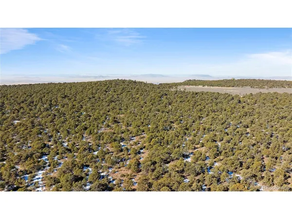 $42,500 | 90 Elk Park Road, San Luis, CO 81152