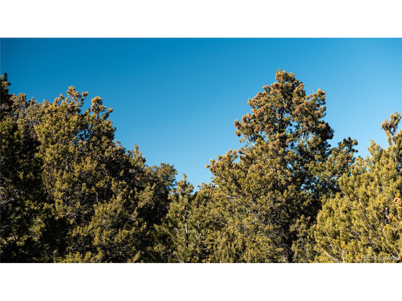 90 Elk Park Road San Luis, CO 81152 - Photo 21 of 34