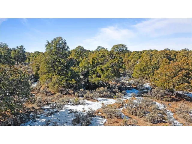 $42,500 | 90 Elk Park Road, San Luis, CO 81152