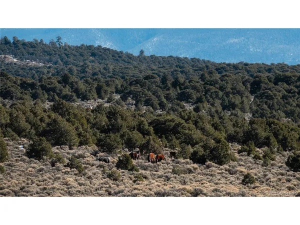 $42,500 | 90 Elk Park Road, San Luis, CO 81152
