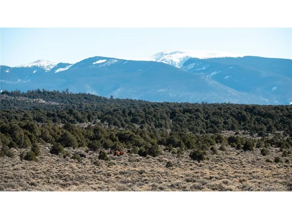 $42,500 | 90 Elk Park Road, San Luis, CO 81152