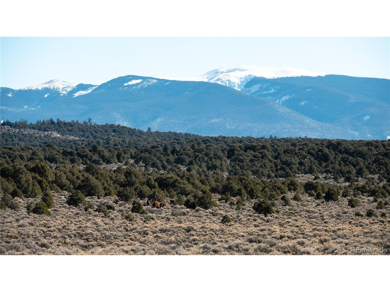 90 Elk Park Road San Luis, CO 81152 - Photo 10 of 34