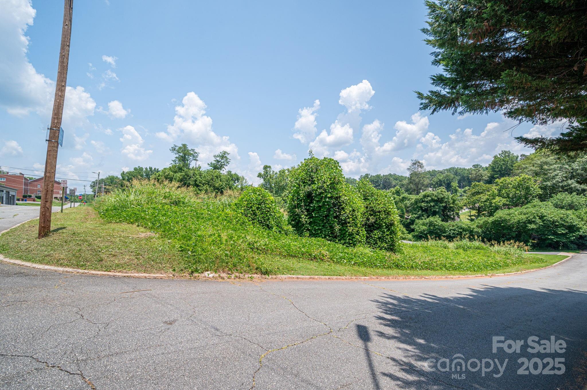0 East 1st Street Rutherfordton, NC 28139 - Photo 14 of 24 a view of a yard