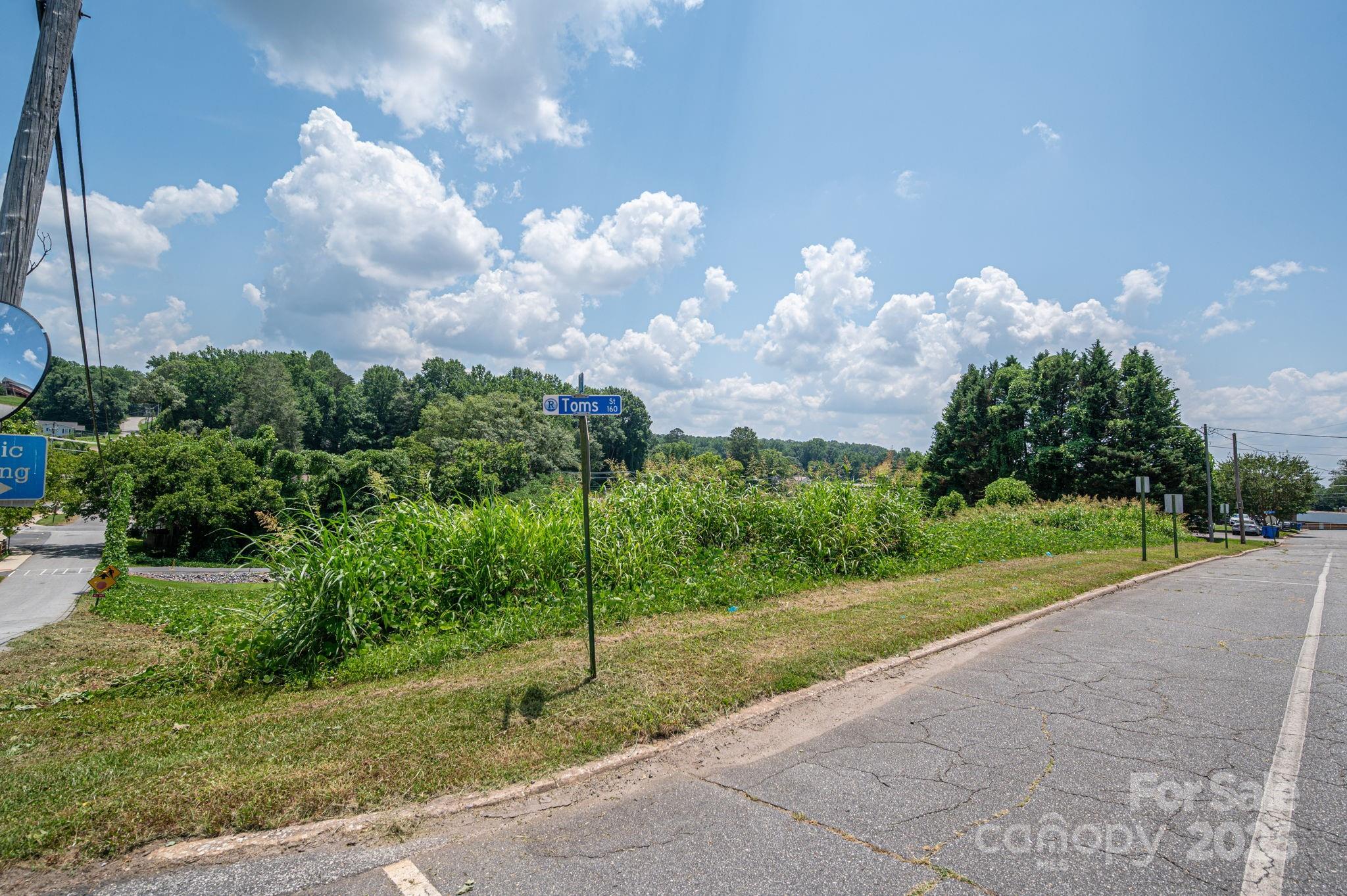 0 East 1st Street Rutherfordton, NC 28139 - Photo 17 of 24 a view of a garden with a houses