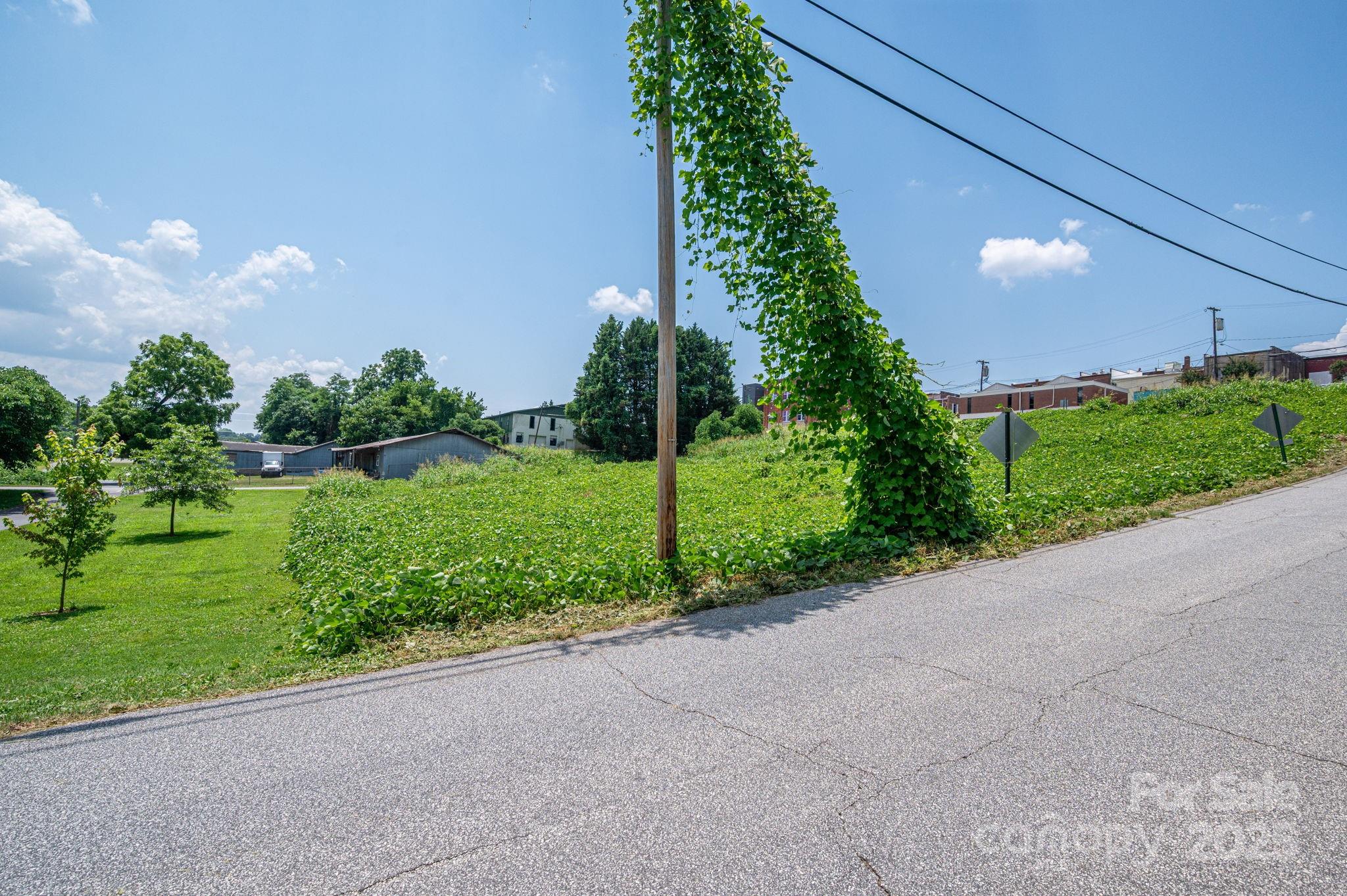 0 East 1st Street Rutherfordton, NC 28139 - Photo 20 of 24 a view of a garden with potted plants