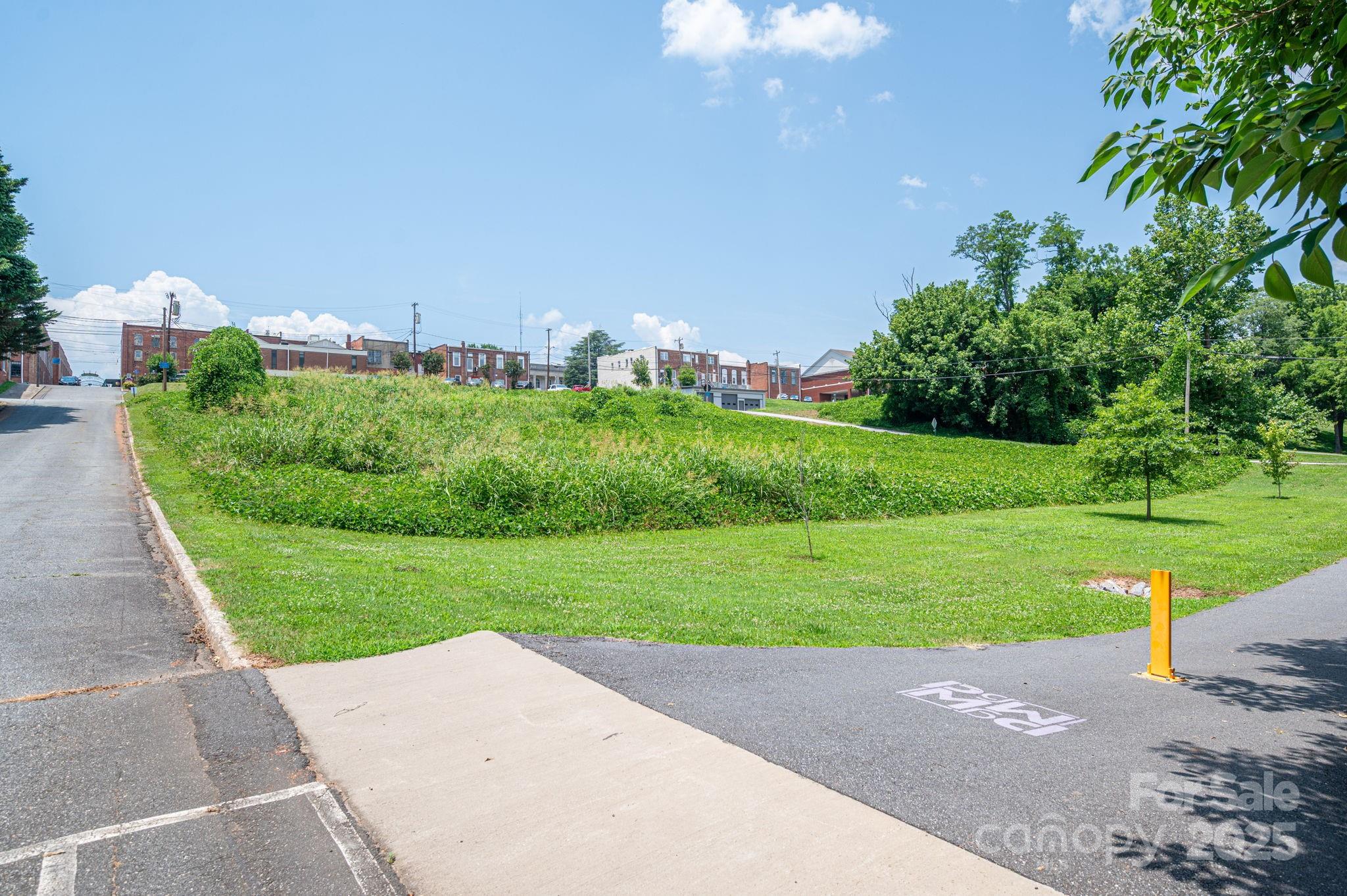 0 East 1st Street Rutherfordton, NC 28139 - Photo 24 of 24 a backyard of a house with lots of green space