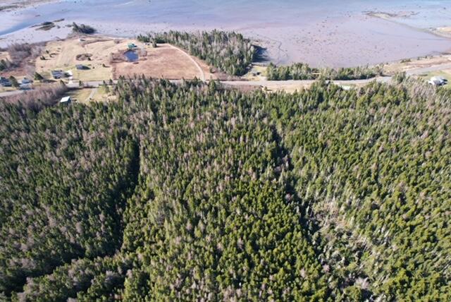 Lot 29 Cutler Road Whiting, ME 04691 - Photo 3 of 9