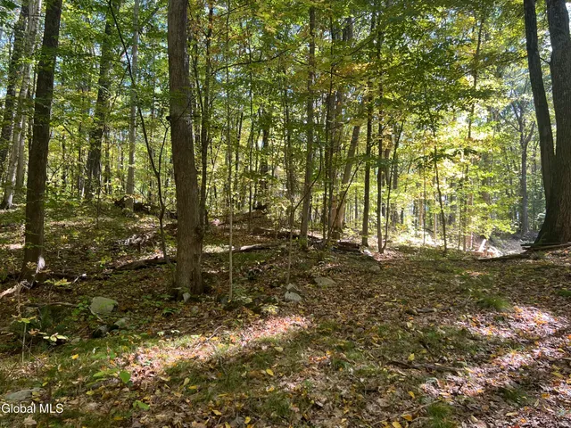 $215,000 | L3 Glen Lake Road, Lake George, NY 12845