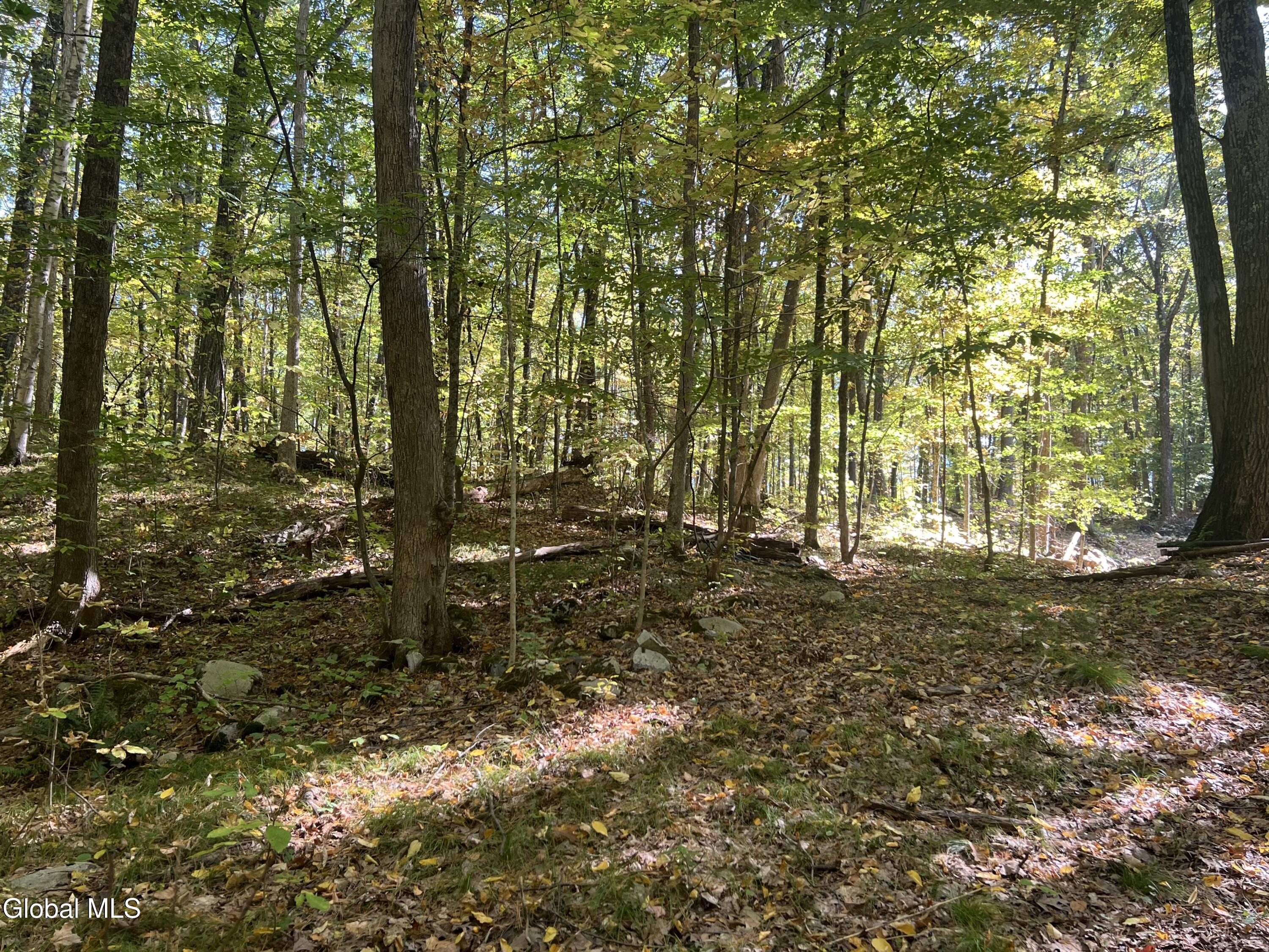 L3 Glen Lake Road Lake George, NY 12845 - Photo 11 of 12 IMG_2574