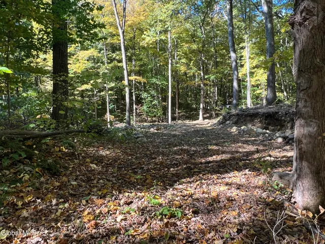 $215,000 | L3 Glen Lake Road, Lake George, NY 12845