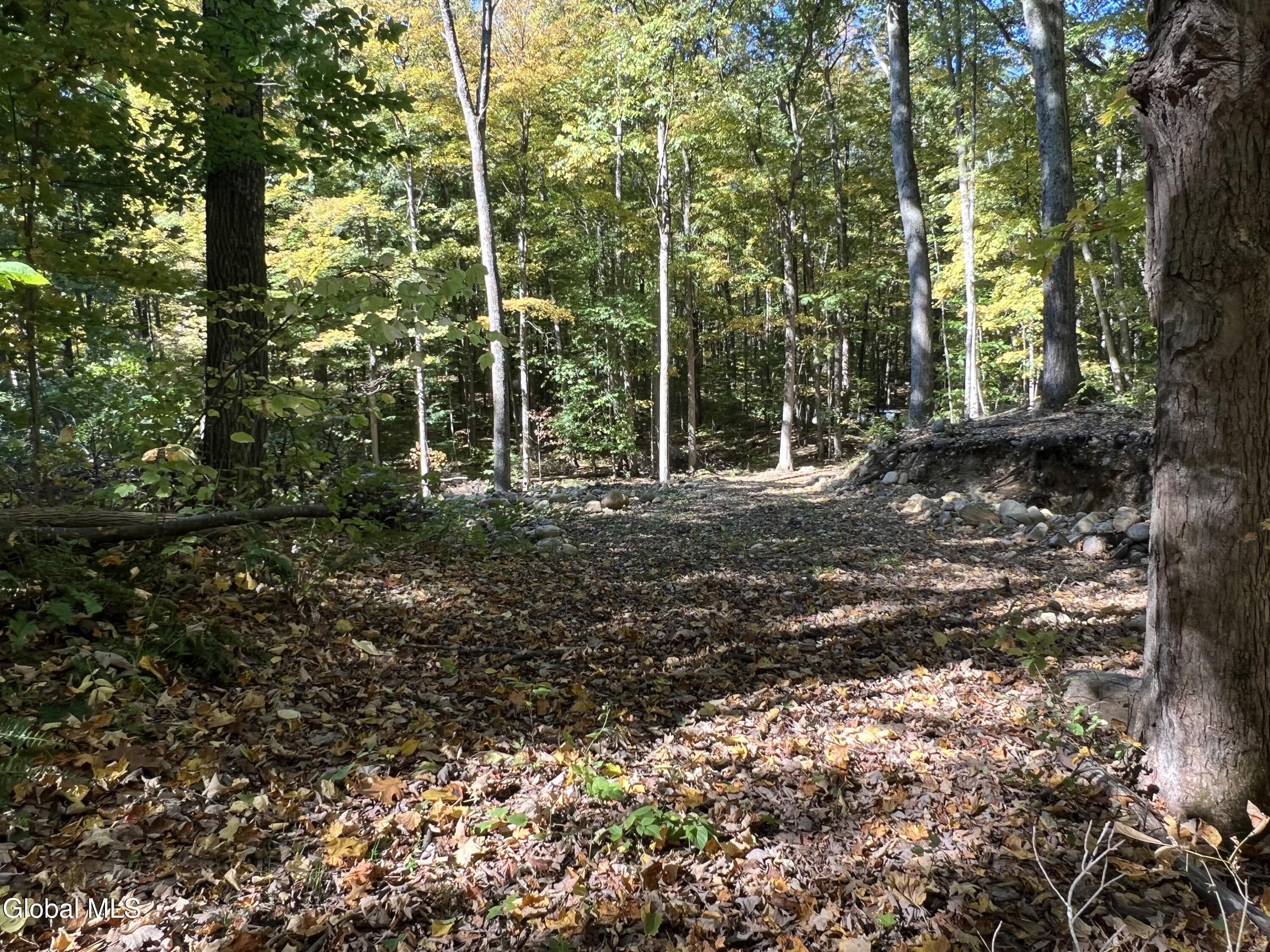 L3 Glen Lake Road Lake George, NY 12845 - Photo 5 of 12 IMG_2581