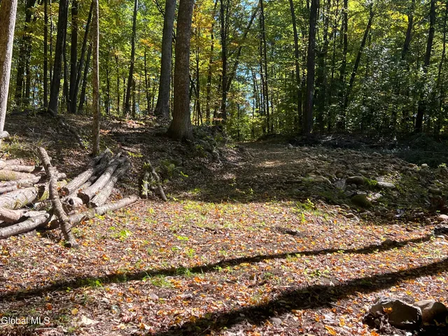 $215,000 | L3 Glen Lake Road, Lake George, NY 12845