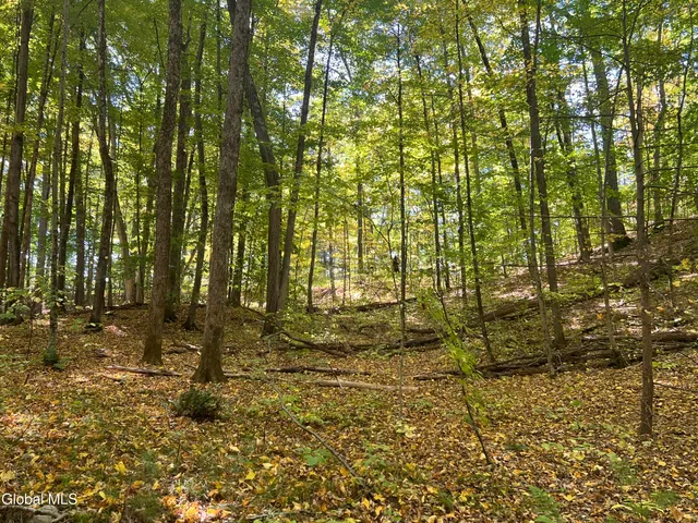 $215,000 | L3 Glen Lake Road, Lake George, NY 12845