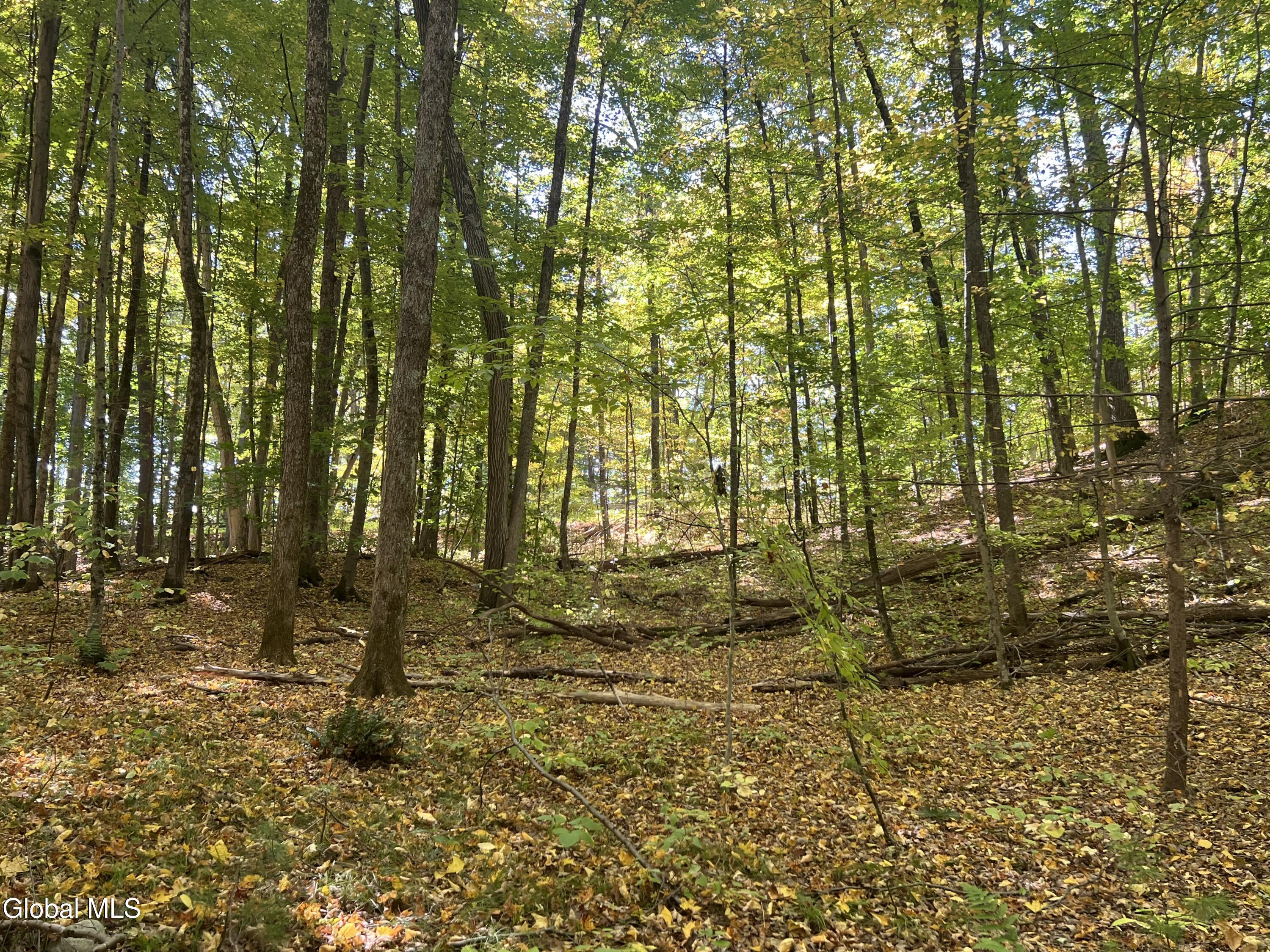 L3 Glen Lake Road Lake George, NY 12845 - Photo 9 of 12 IMG_2575