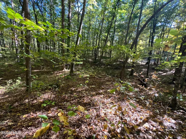 $215,000 | L3 Glen Lake Road, Lake George, NY 12845