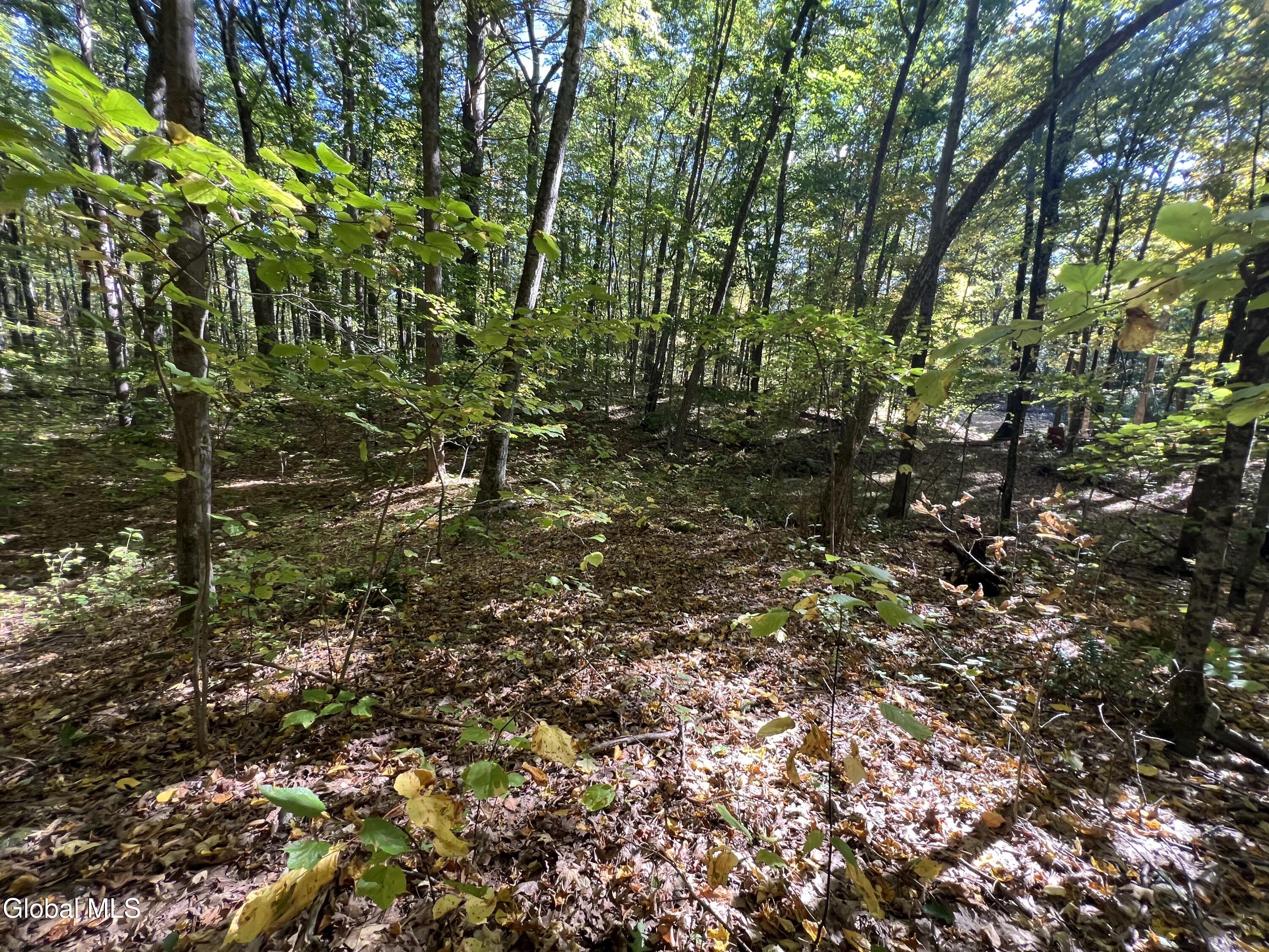 L3 Glen Lake Road Lake George, NY 12845 - Photo 10 of 12 IMG_2573