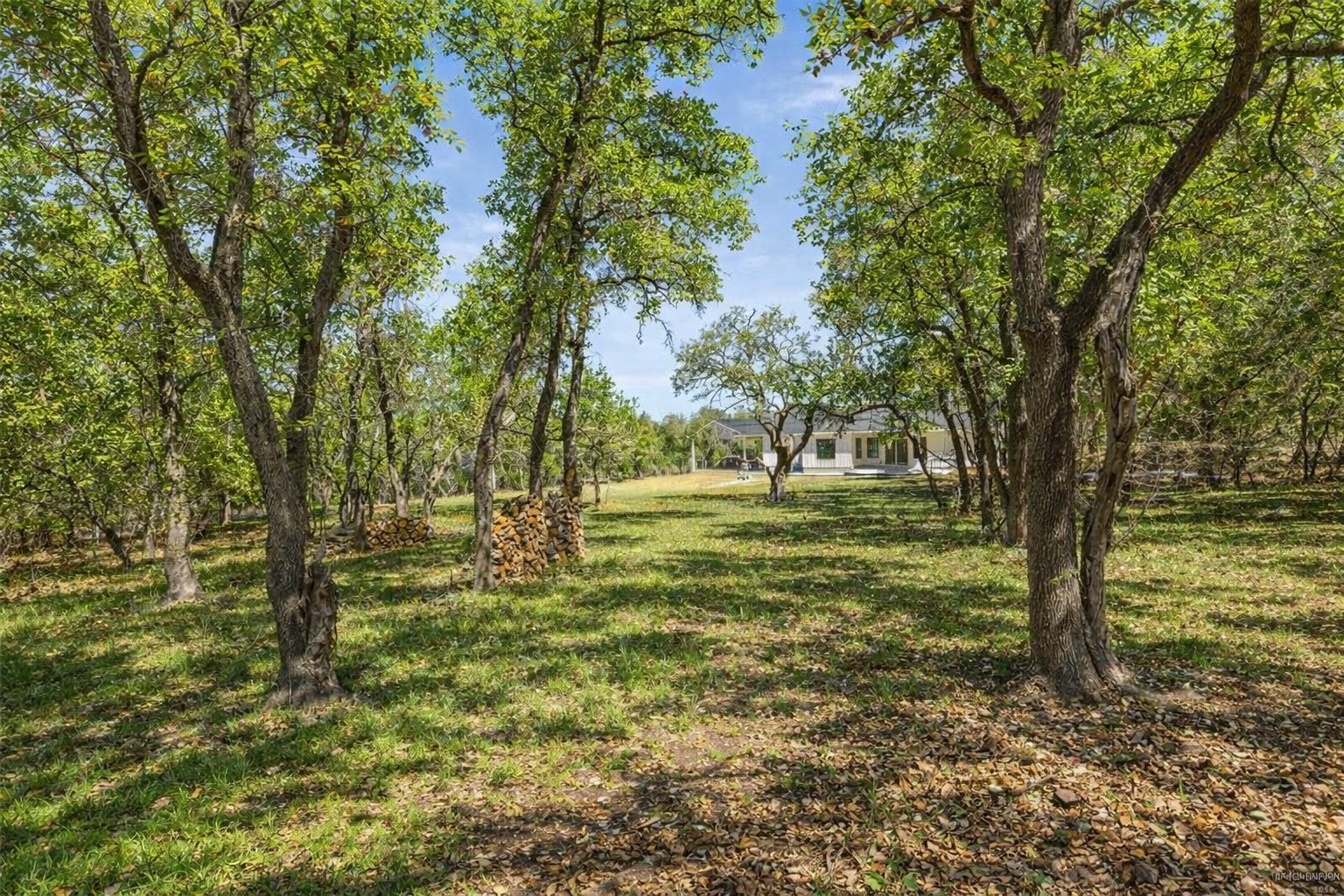408 Rust Ranch Road Blanco, TX 78606 - Photo 31 of 35 View of green lawn with view of scattered trees