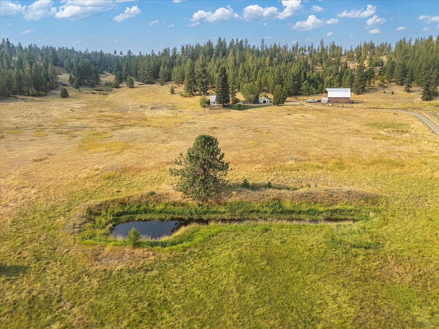 8410 West Valley Road Clayton, WA 99110 - Photo 40 of 45