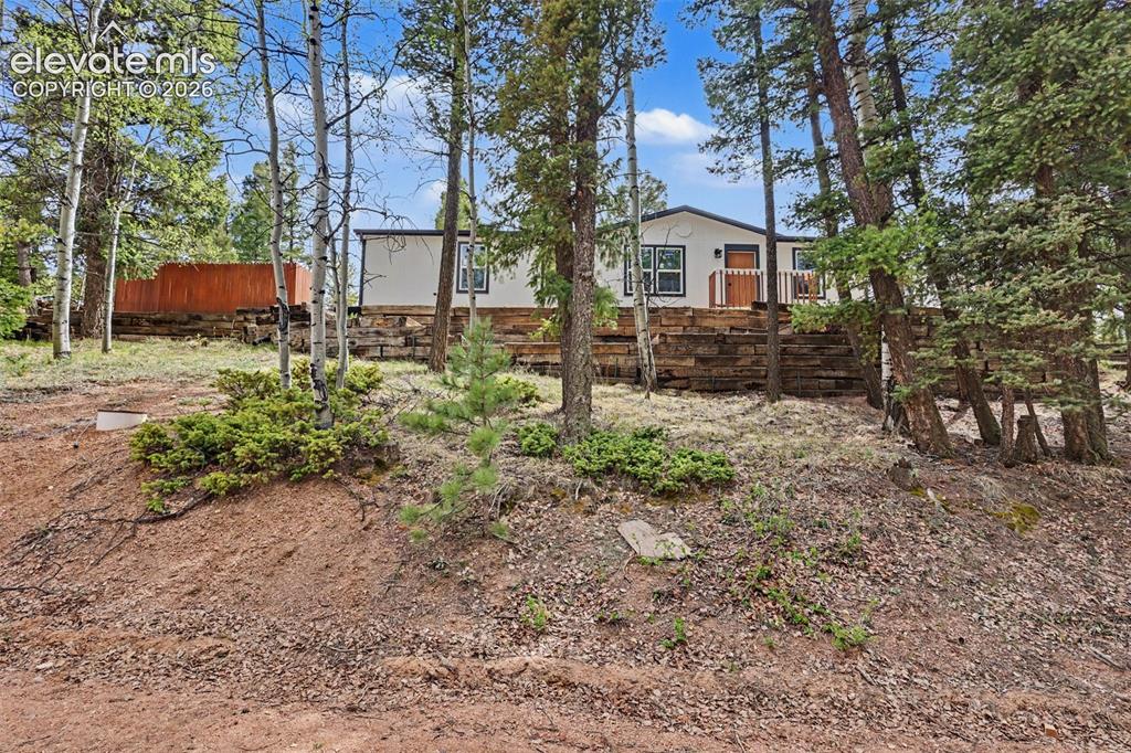 151 Banner Trail Florissant, CO 80816 - Photo 3 of 50