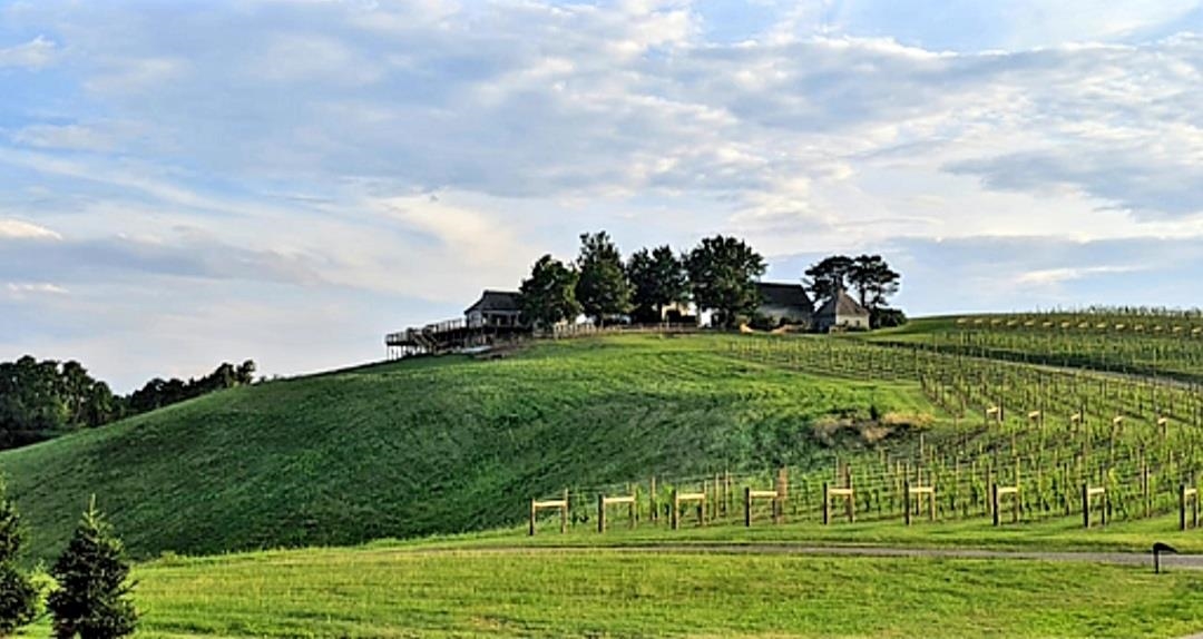 249 Spy Run Gap Road Vesuvius, VA 24483 - Photo 23 of 40 Gallery Image 23