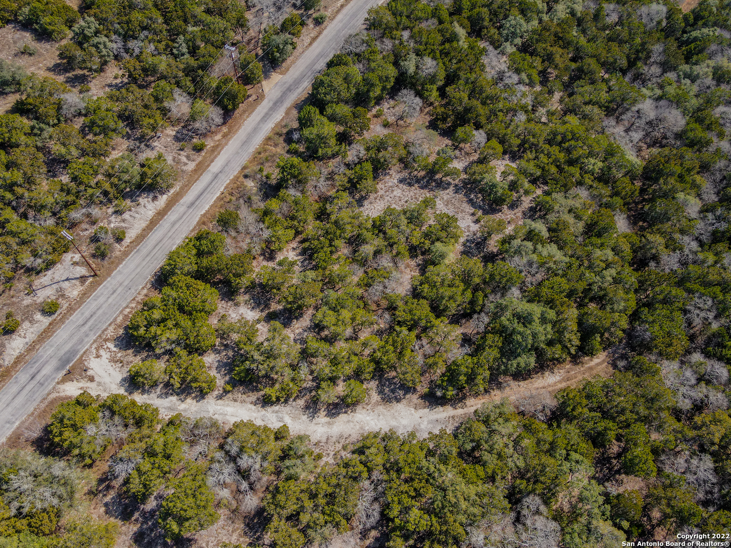 437 Private Rd 1706 Helotes, TX 78023 - Photo 8 of 8 a close up of a plant in a garden