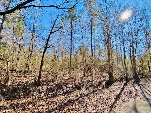 Tbd Charlie Brister Road Jayess, MS 39641 - Photo 5 of 8 Photo 5