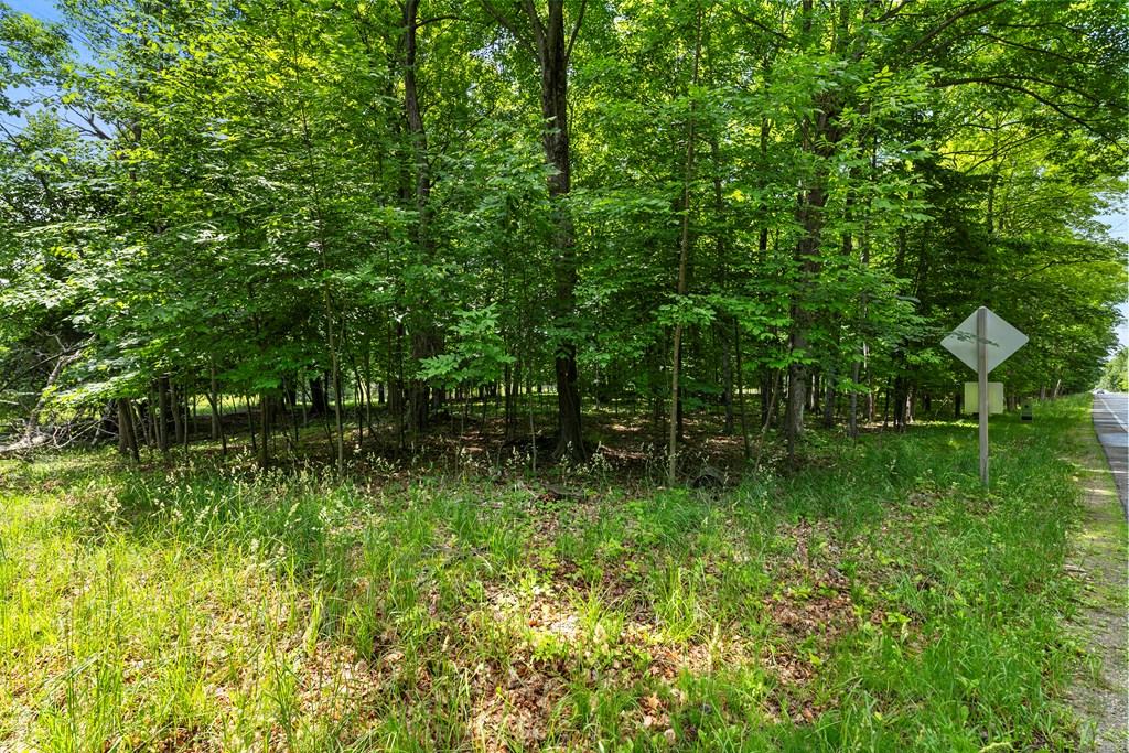 Lot #1 Horseshoe Bay Road Egg Harbor, WI 54209 - Photo 9 of 24