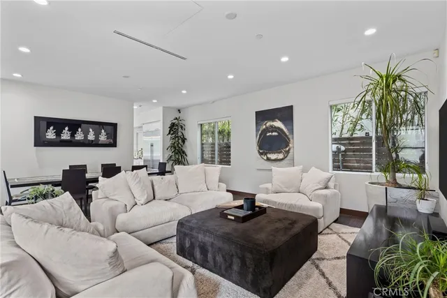 a living room with furniture a rug and a potted plant