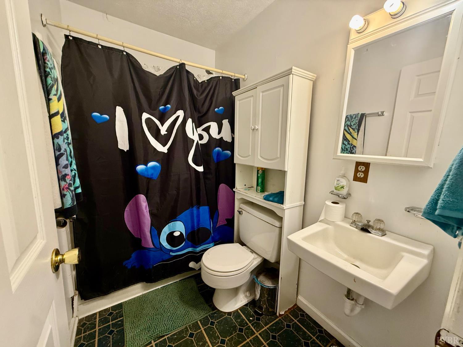 2600 Bethany Road Rustburg, VA 24588 - Photo 13 of 16 a bathroom with a toilet and a sink