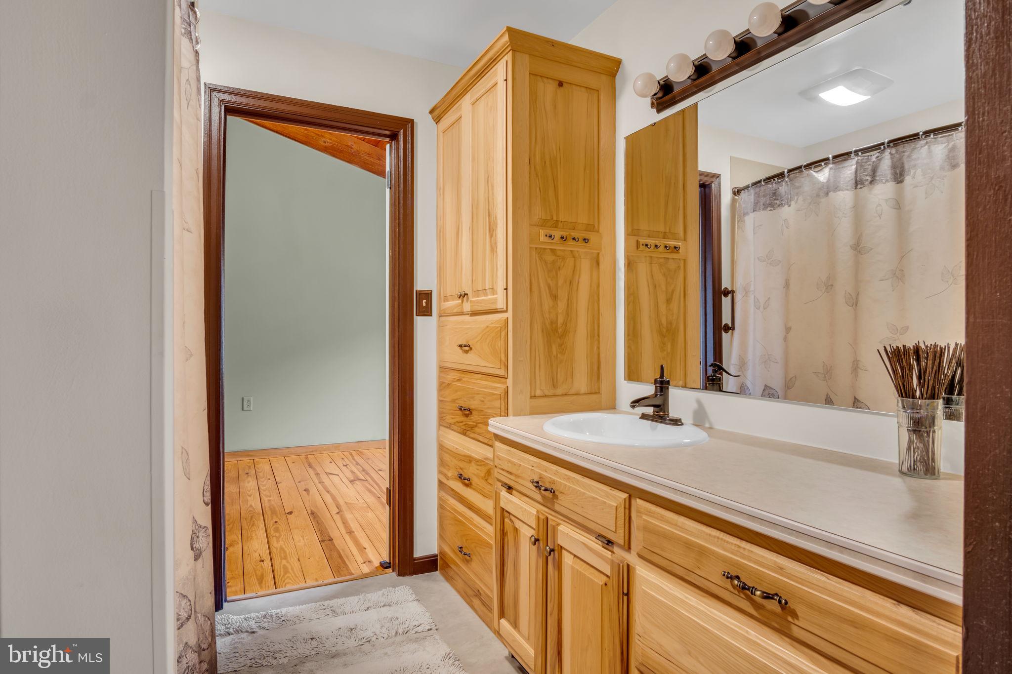 125 Bobcat Road Carlisle, PA 17015 - Photo 40 of 83 Jack and Jill Bathroom