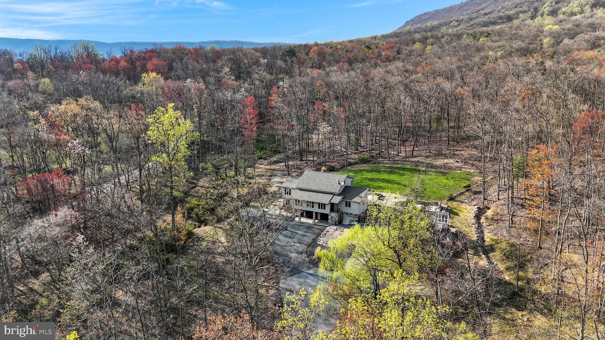 125 Bobcat Road Carlisle, PA 17015 - Photo 5 of 83 Enjoy your own wooded walking trail