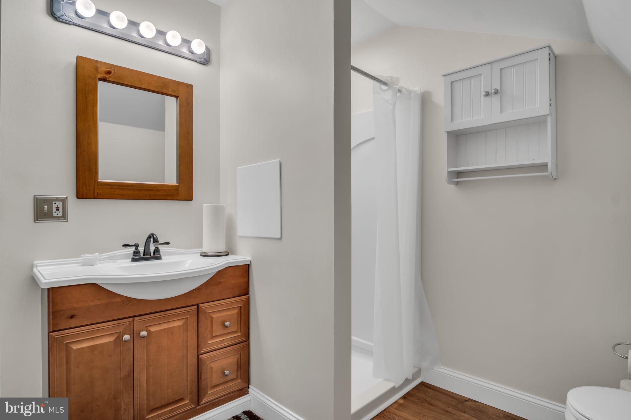 125 Bobcat Road Carlisle, PA 17015 - Photo 74 of 83 Full bath with walk in shower