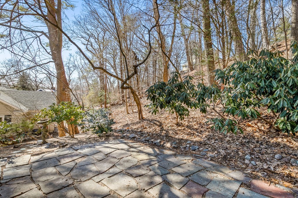 177 Varick Road Newton, MA 02468 - Photo 28 of 29 a view of a yard