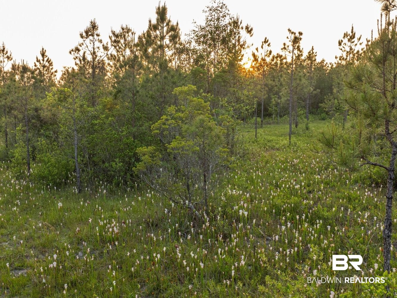 0 Lonnie Hadley Road Perdido, AL 36562 - Photo 14 of 39