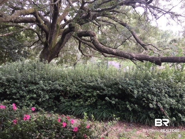 19791 Hunters Loop Fairhope, AL 36532 - Photo 11 of 11 Gallery Image 11