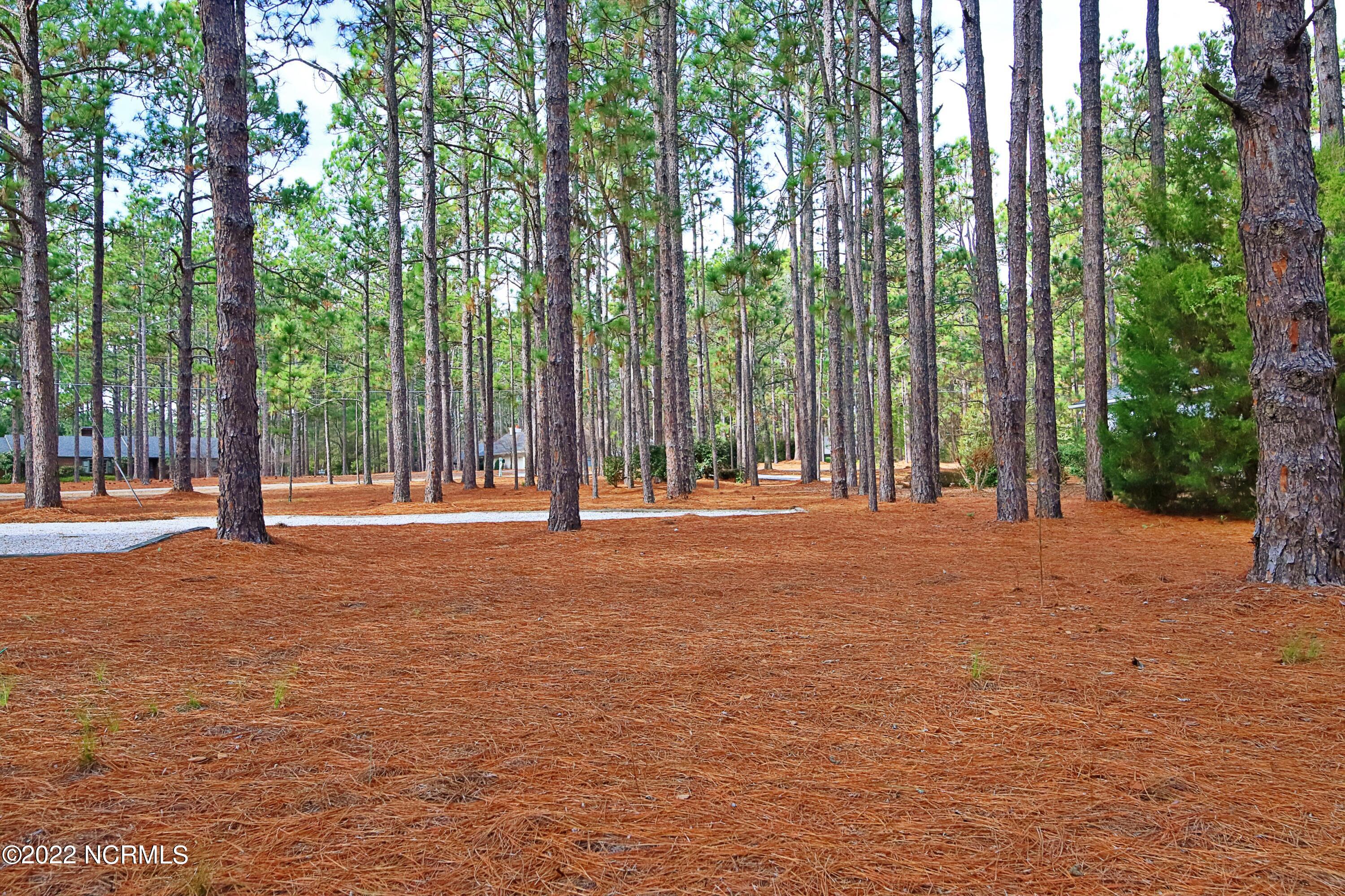 40 Bel Air Drive Pinehurst, NC 28374 - Photo 7 of 28 Rear