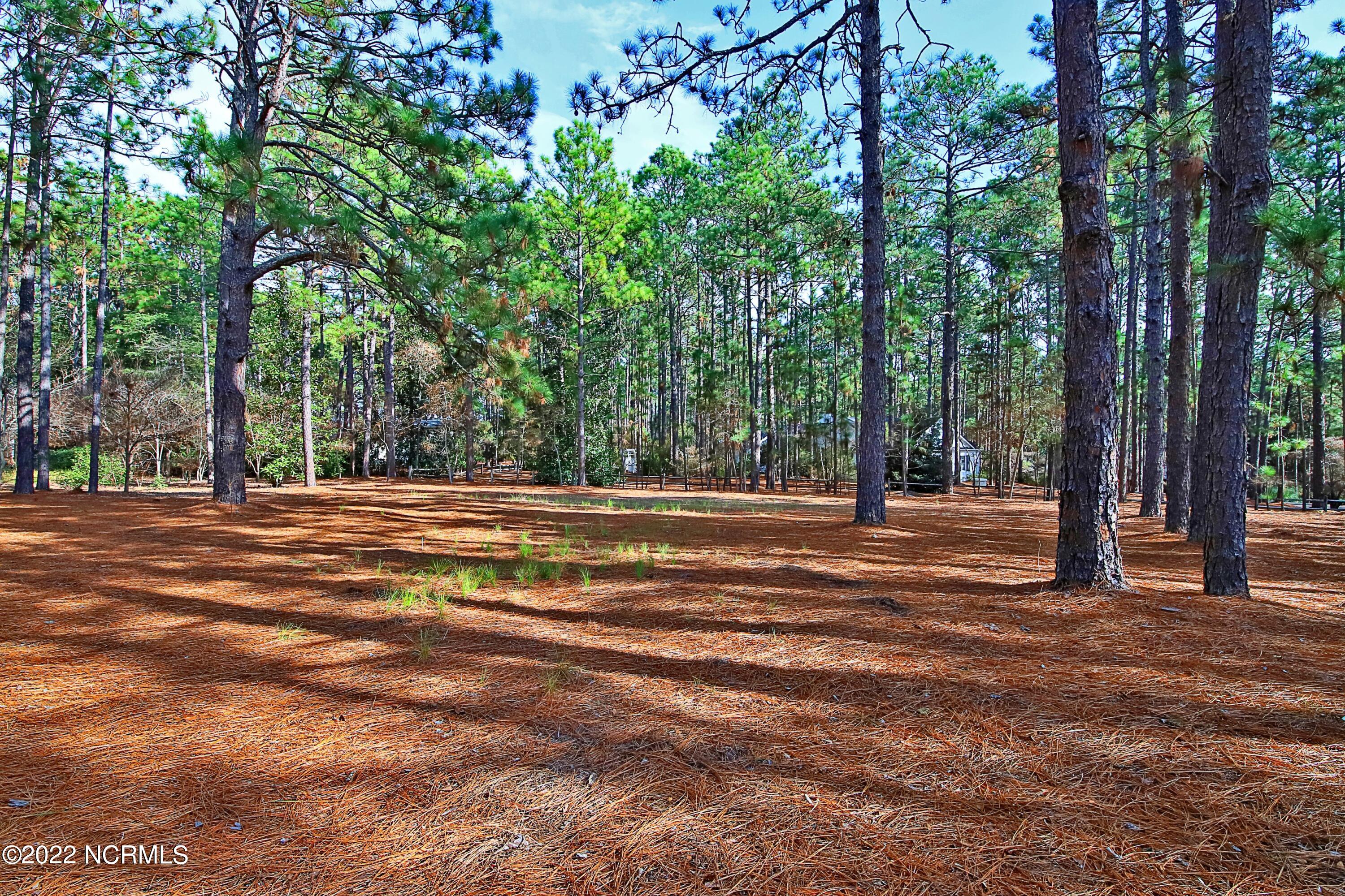 40 Bel Air Drive Pinehurst, NC 28374 - Photo 8 of 28 Side