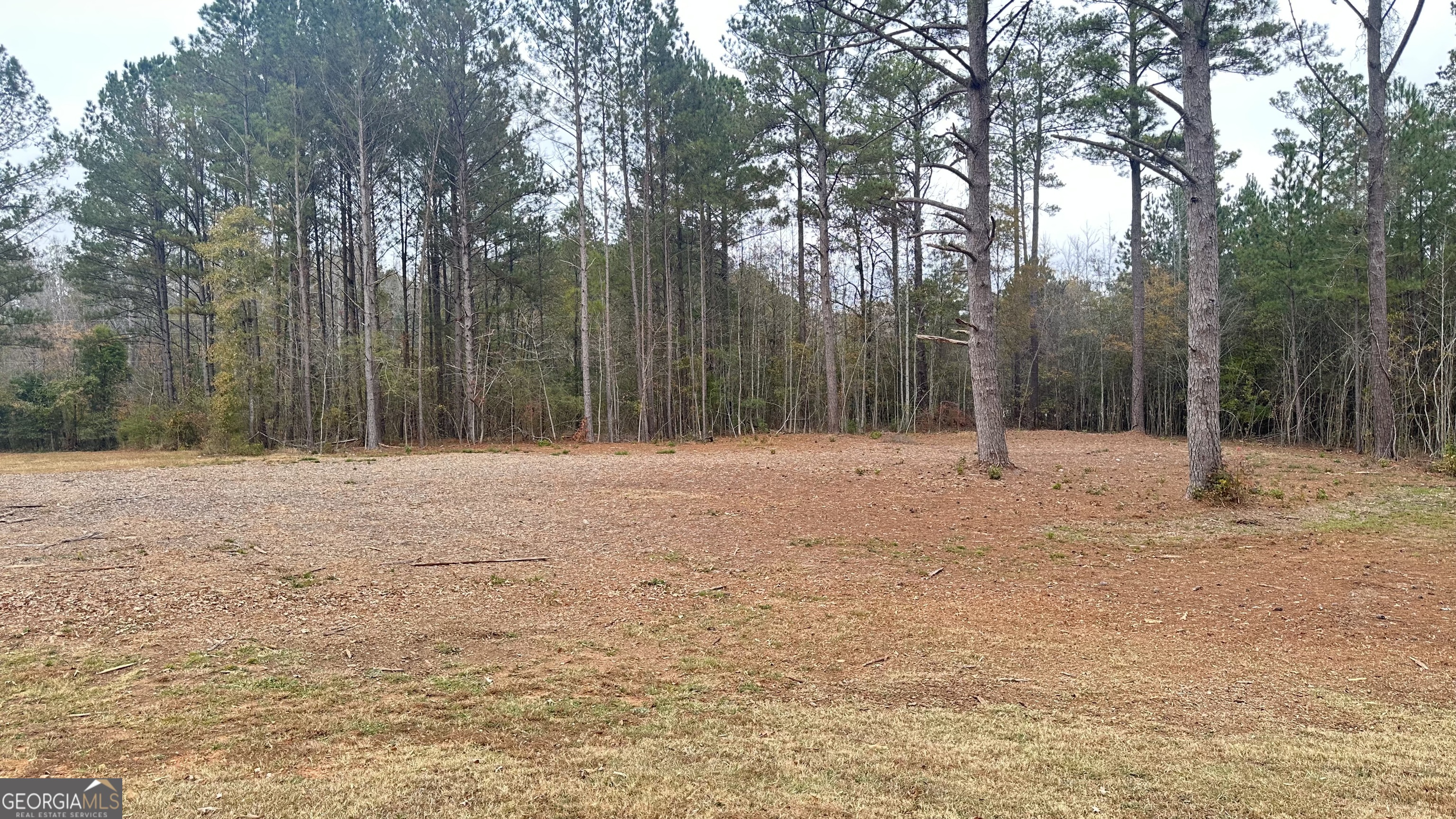 2046 Mcwilliams Barber Road Luthersville, GA 30251 - Photo 12 of 43 a outdoor space with lots of trees