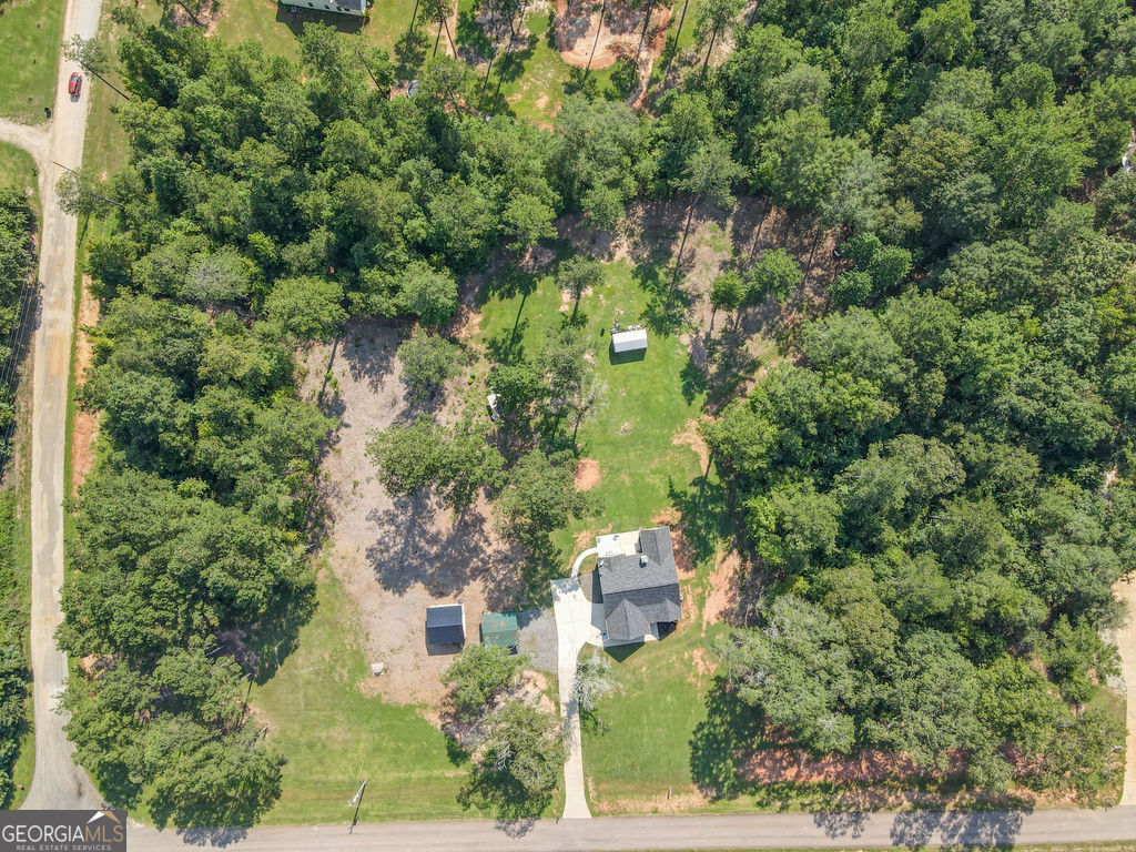 2046 Mcwilliams Barber Road Luthersville, GA 30251 - Photo 14 of 43 an aerial view of a house with yard