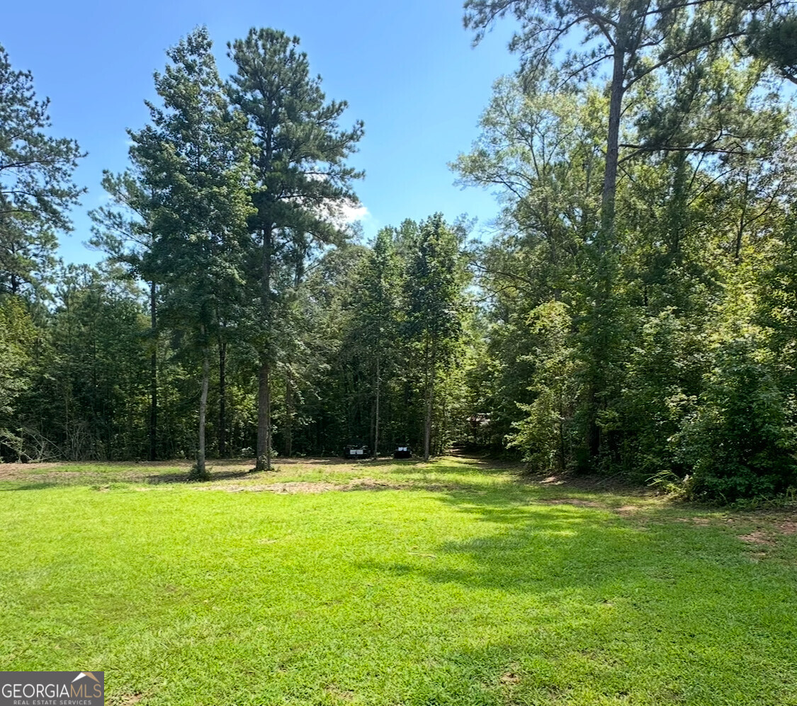 2046 Mcwilliams Barber Road Luthersville, GA 30251 - Photo 4 of 43 a view of green field with trees in the background