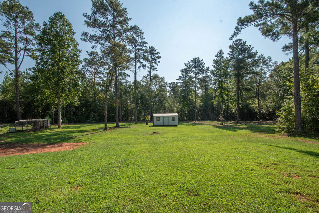 2046 Mcwilliams Barber Road Luthersville, GA 30251 - Photo 5 of 43 a small garden with trees in the background